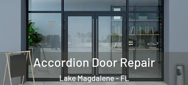  Accordion Door Repair Lake Magdalene - FL