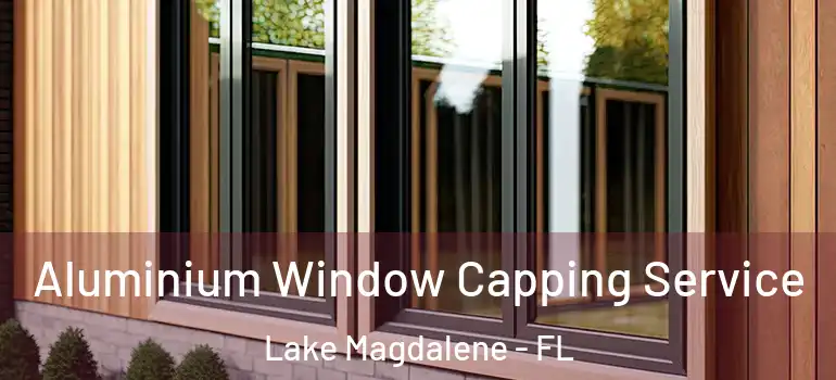  Aluminium Window Capping Service Lake Magdalene - FL