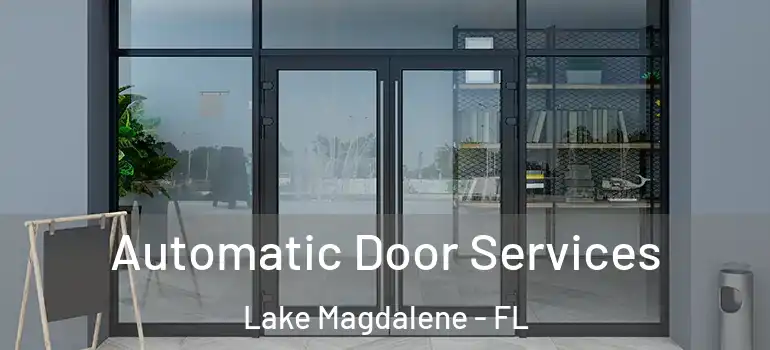 Automatic Door Services Lake Magdalene - FL