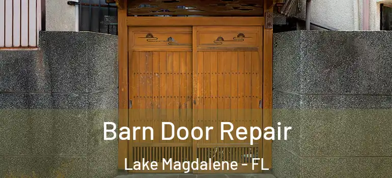Barn Door Repair Lake Magdalene - FL
