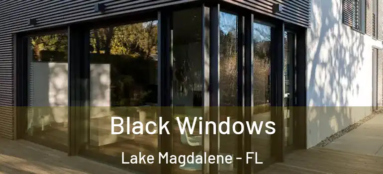 Black Windows Lake Magdalene - FL