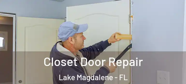 Closet Door Repair Lake Magdalene - FL