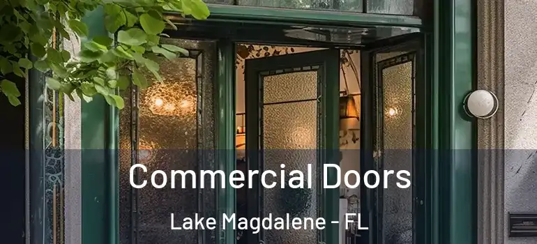 Commercial Doors Lake Magdalene - FL