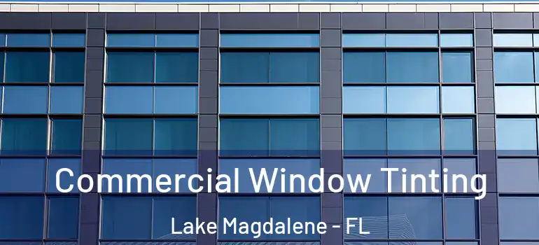  Commercial Window Tinting Lake Magdalene - FL