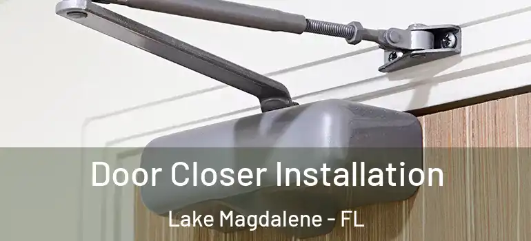 Door Closer Installation Lake Magdalene - FL