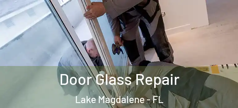 Door Glass Repair Lake Magdalene - FL