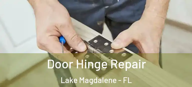  Door Hinge Repair Lake Magdalene - FL
