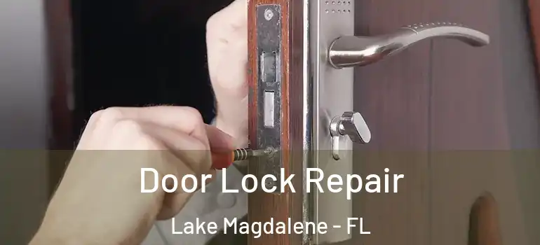  Door Lock Repair Lake Magdalene - FL