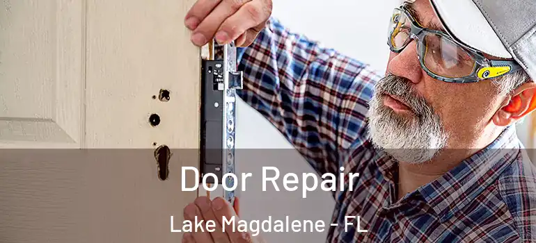  Door Repair Lake Magdalene - FL