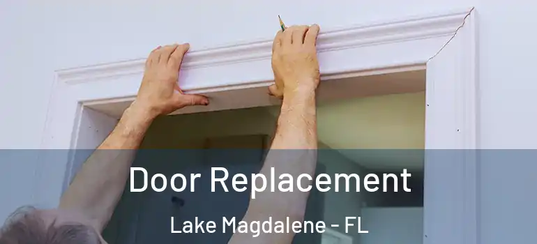  Door Replacement Lake Magdalene - FL
