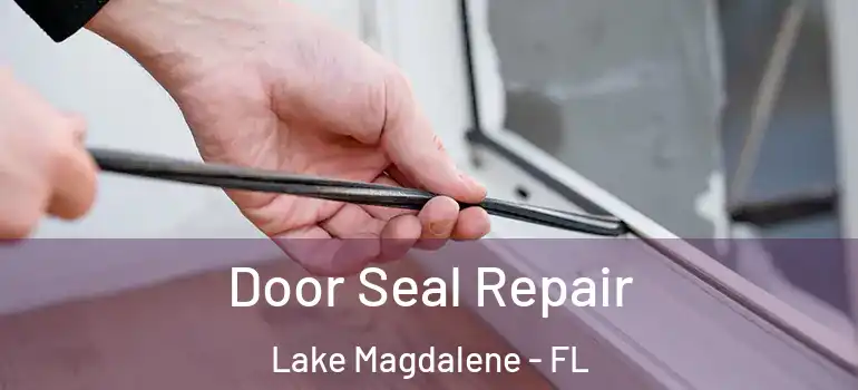  Door Seal Repair Lake Magdalene - FL