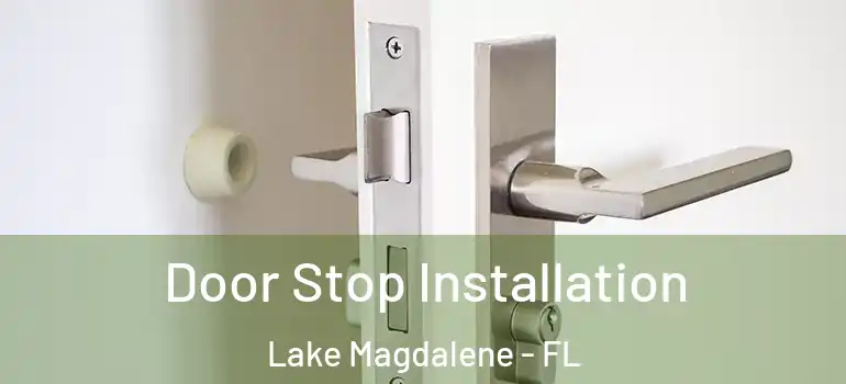 Door Stop Installation Lake Magdalene - FL