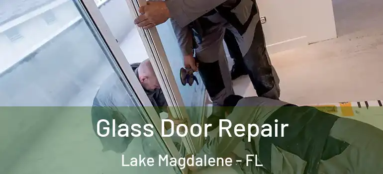 Glass Door Repair Lake Magdalene - FL
