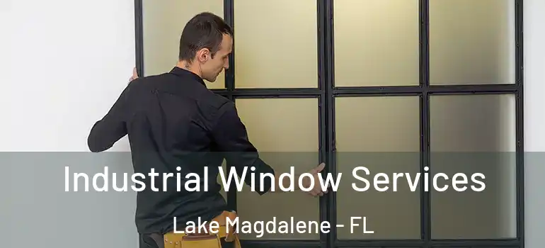  Industrial Window Services Lake Magdalene - FL