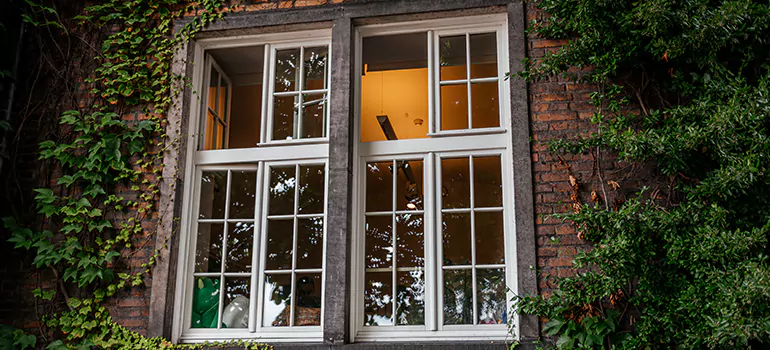 Energy Efficient Wood Windows in Lake Magdalene, FL