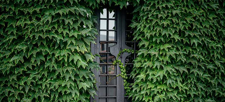 Garden Gate Repair in Lake Magdalene, FL