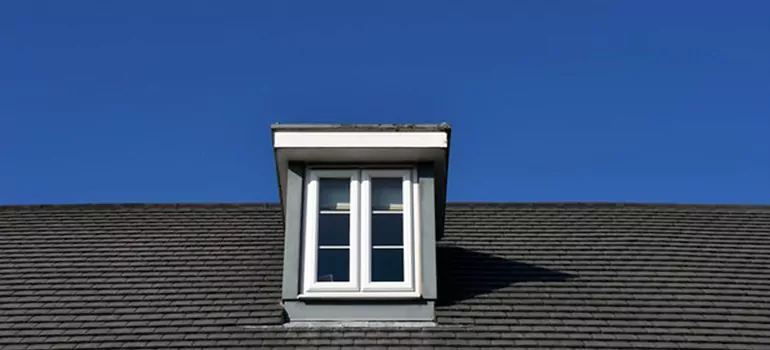 Roof Window Installation in Lake Magdalene, FL