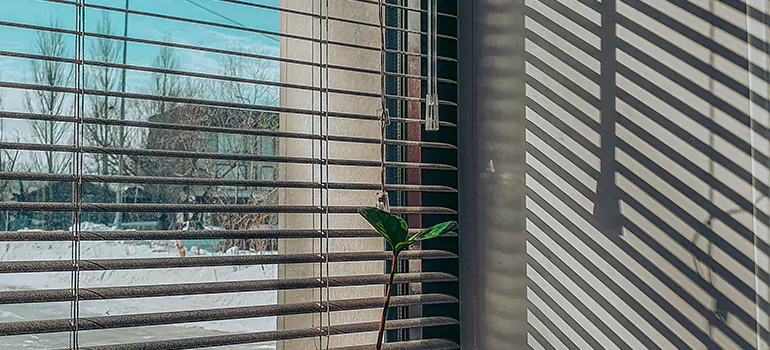 Commercial Window Blinds in Lake Magdalene, FL