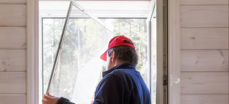 Expandable Window Screen Installation in Lake Magdalene, FL