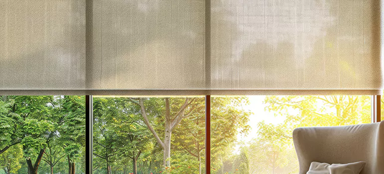 Custom Window Shades in Lake Magdalene, FL