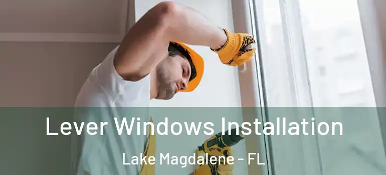  Lever Windows Installation Lake Magdalene - FL