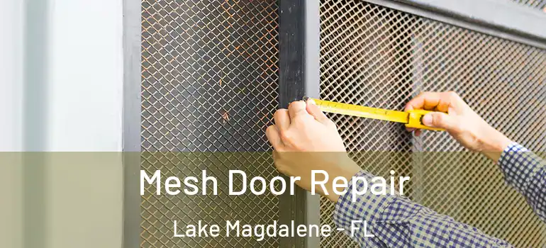 Mesh Door Repair Lake Magdalene - FL