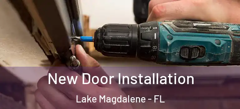  New Door Installation Lake Magdalene - FL