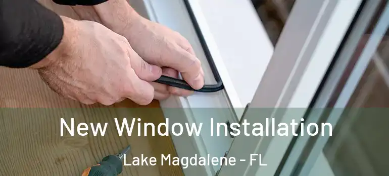  New Window Installation Lake Magdalene - FL