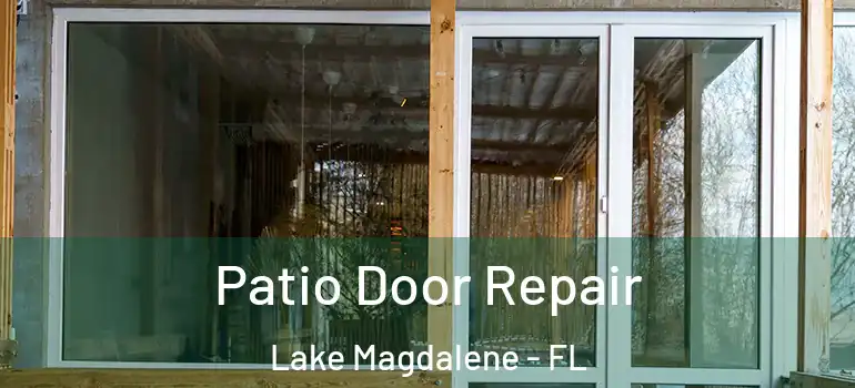  Patio Door Repair Lake Magdalene - FL