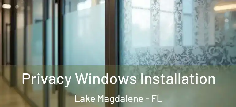  Privacy Windows Installation Lake Magdalene - FL