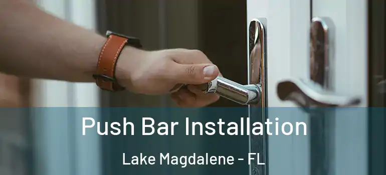  Push Bar Installation Lake Magdalene - FL