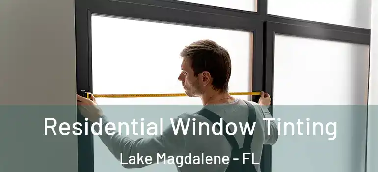 Residential Window Tinting Lake Magdalene - FL
