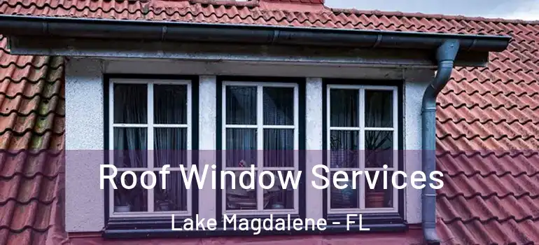  Roof Window Services Lake Magdalene - FL