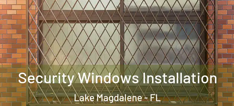  Security Windows Installation Lake Magdalene - FL