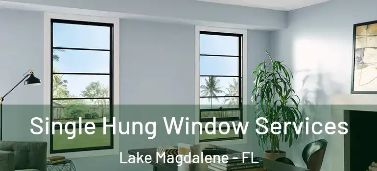  Single Hung Window Services Lake Magdalene - FL