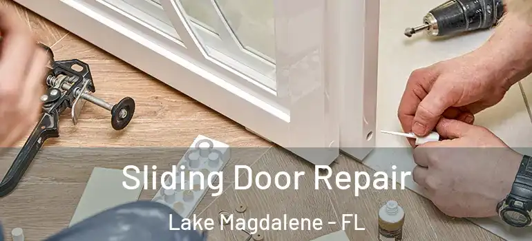  Sliding Door Repair Lake Magdalene - FL