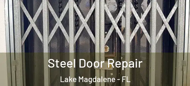 Steel Door Repair Lake Magdalene - FL