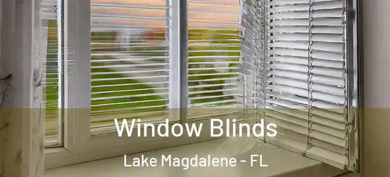 Window Blinds Lake Magdalene - FL