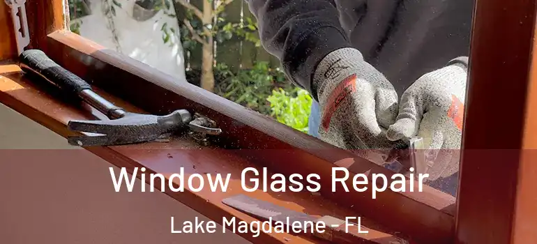  Window Glass Repair Lake Magdalene - FL