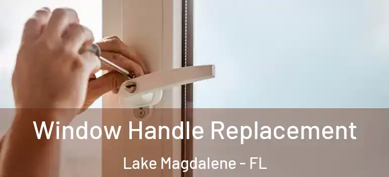  Window Handle Replacement Lake Magdalene - FL