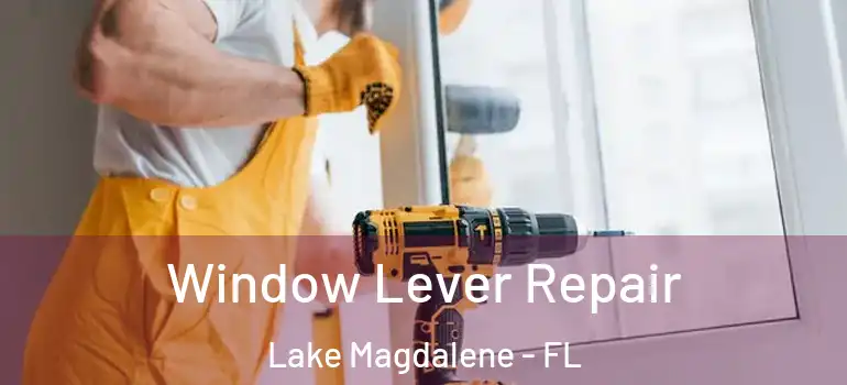  Window Lever Repair Lake Magdalene - FL