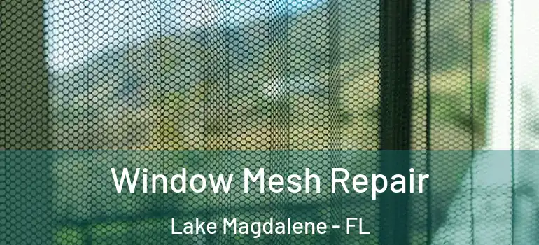 Window Mesh Repair Lake Magdalene - FL