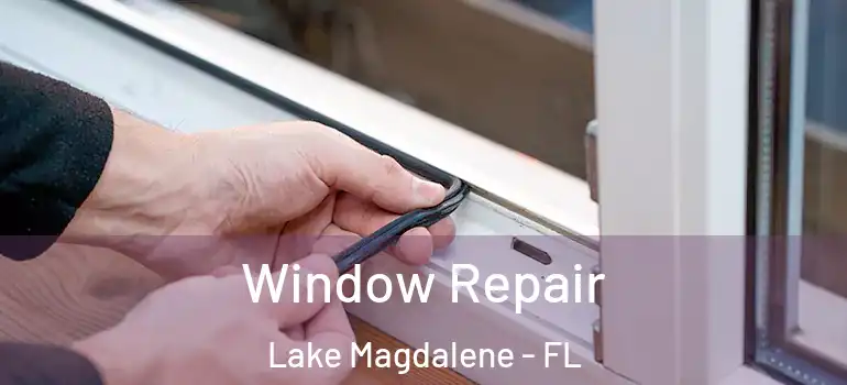 Window Repair Lake Magdalene - FL