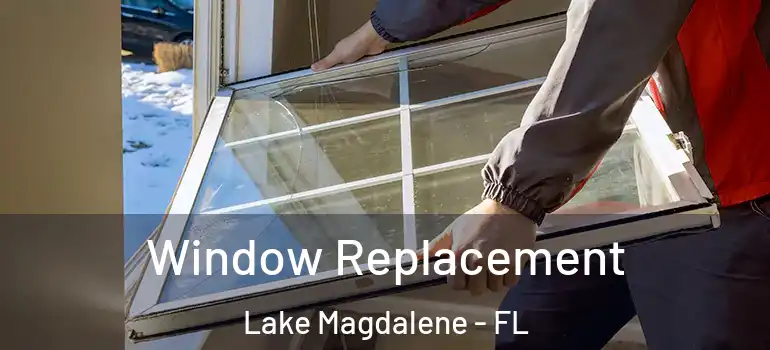  Window Replacement Lake Magdalene - FL