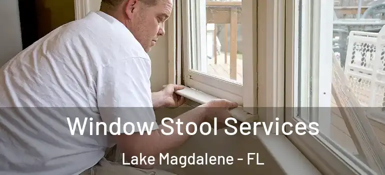  Window Stool Services Lake Magdalene - FL