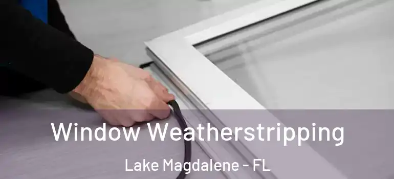  Window Weatherstripping Lake Magdalene - FL