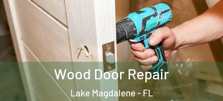 Wood Door Repair Lake Magdalene - FL
